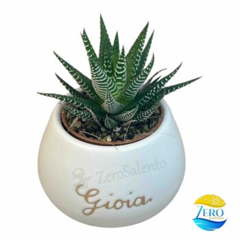 Vaso Porta piantina Artigianale tonda - immagine 2