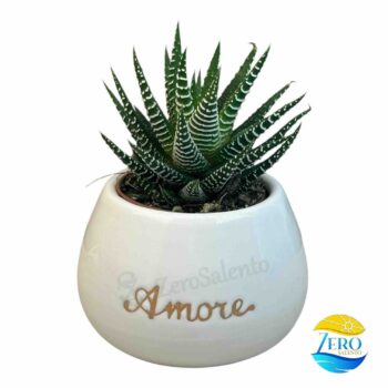 Vaso Porta piantina Artigianale tonda