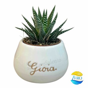 Vaso Porta piantina Artigianale tonda