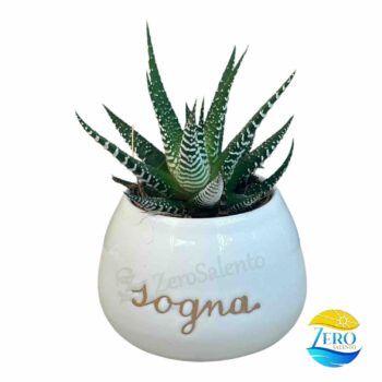 Vaso Porta piantina Artigianale tonda