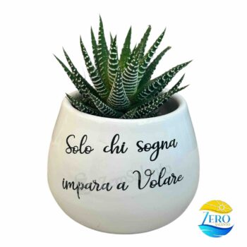 Vaso Porta piantina Artigianale tonda