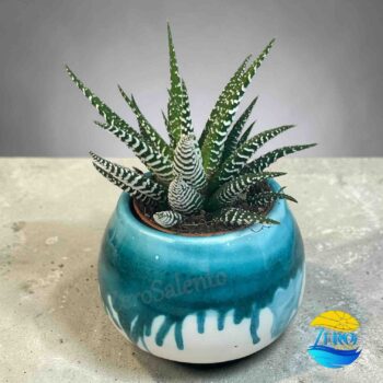 Vaso Porta piantina Artigianale tonda Bicolore