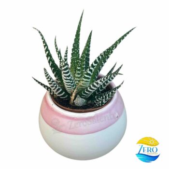 Vaso Porta piantina Artigianale tonda Bicolore - immagine 3