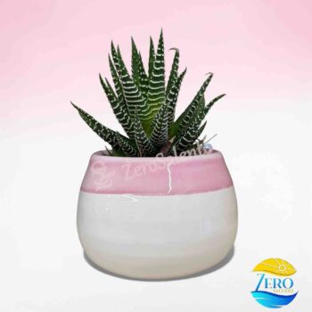 Vaso Porta piantina Artigianale tonda Bicolore - immagine 2