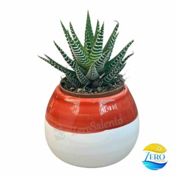 Vaso Porta piantina Artigianale tonda Bicolore