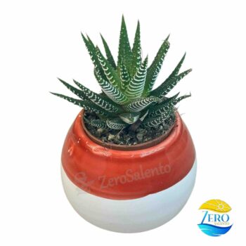 Vaso Porta piantina Artigianale tonda Bicolore - immagine 2