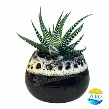 Vaso Porta piantina Artigianale tonda Bicolore