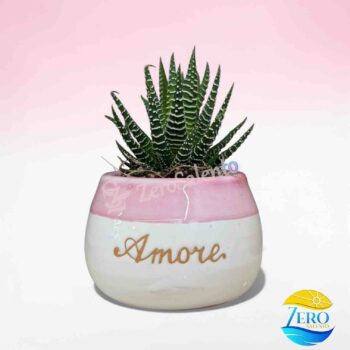 Vaso Porta piantina Artigianale tonda Bicolore