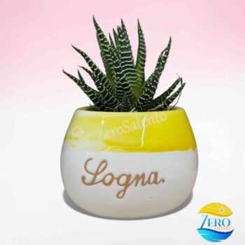 Vaso Porta piantina Artigianale tonda Bicolore