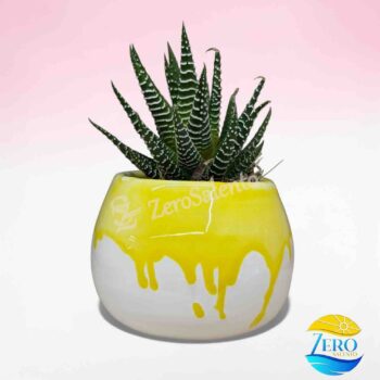 Vaso Porta piantina Artigianale tonda Bicolore - immagine 2