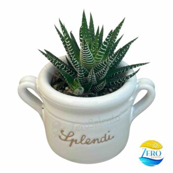 Vaso Porta piantina Artigianale con manici e incisione - immagine 2