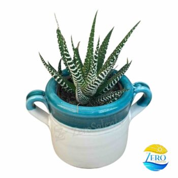 Vaso Porta piantina Artigianale con manici Bicolore - immagine 2