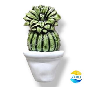 Soffio di Salento: Piantine Grasse in Ceramica Artigianale